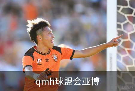 了解qmh球盟会亚博